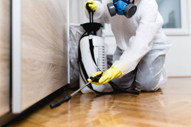 Best Affordable Pest Control Services  in Southern Gateway, VA