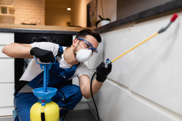 Best Wasp Removal Services  in Southern Gateway, VA