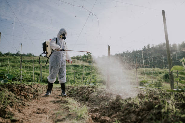 Best Best Pest Control Companies  in Southern Gateway, VA