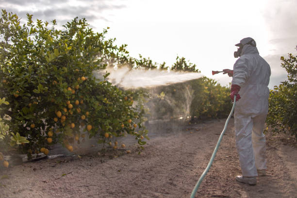 Insect Control in Southern Gateway, VA