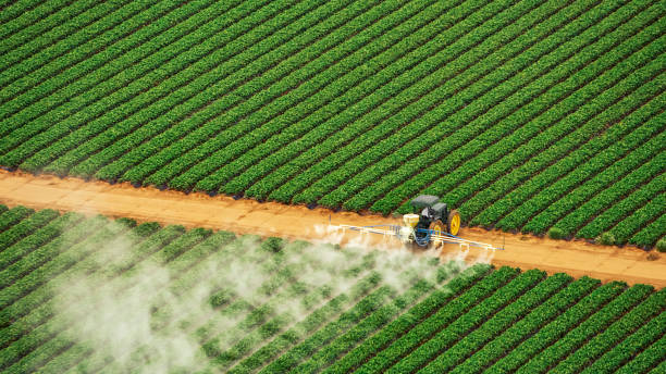 Best Commercial Pest Control Services  in Southern Gateway, VA
