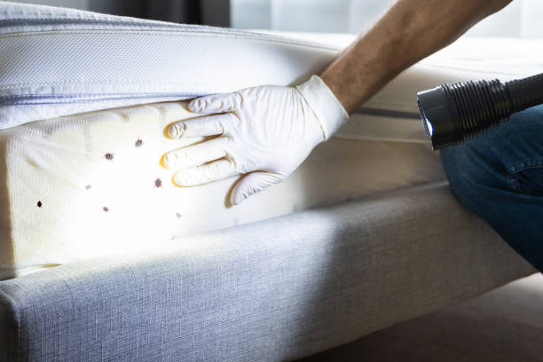 Best Commercial Pest Control Services  in Southern Gateway, VA