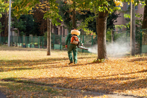 Best Flea Control Services  in Southern Gateway, VA